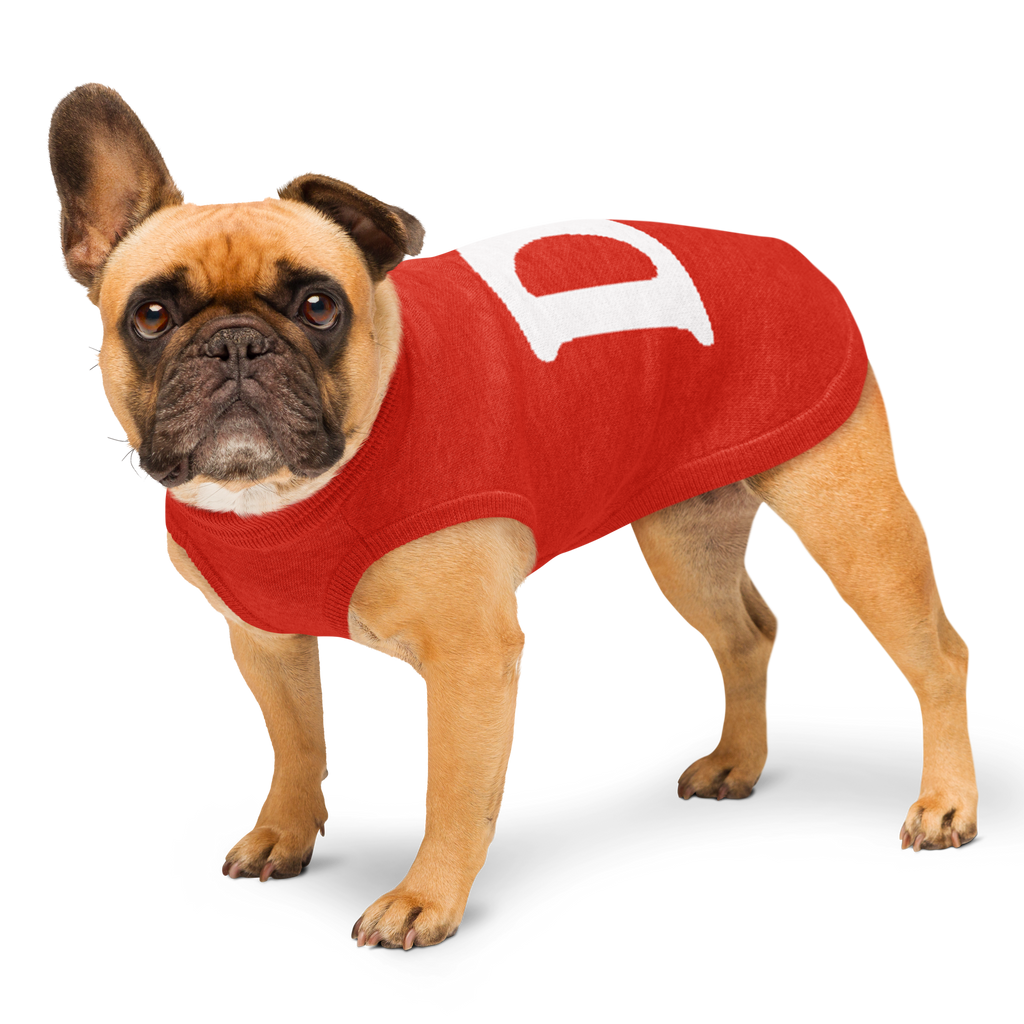 Pet My D! Dog Sweater
