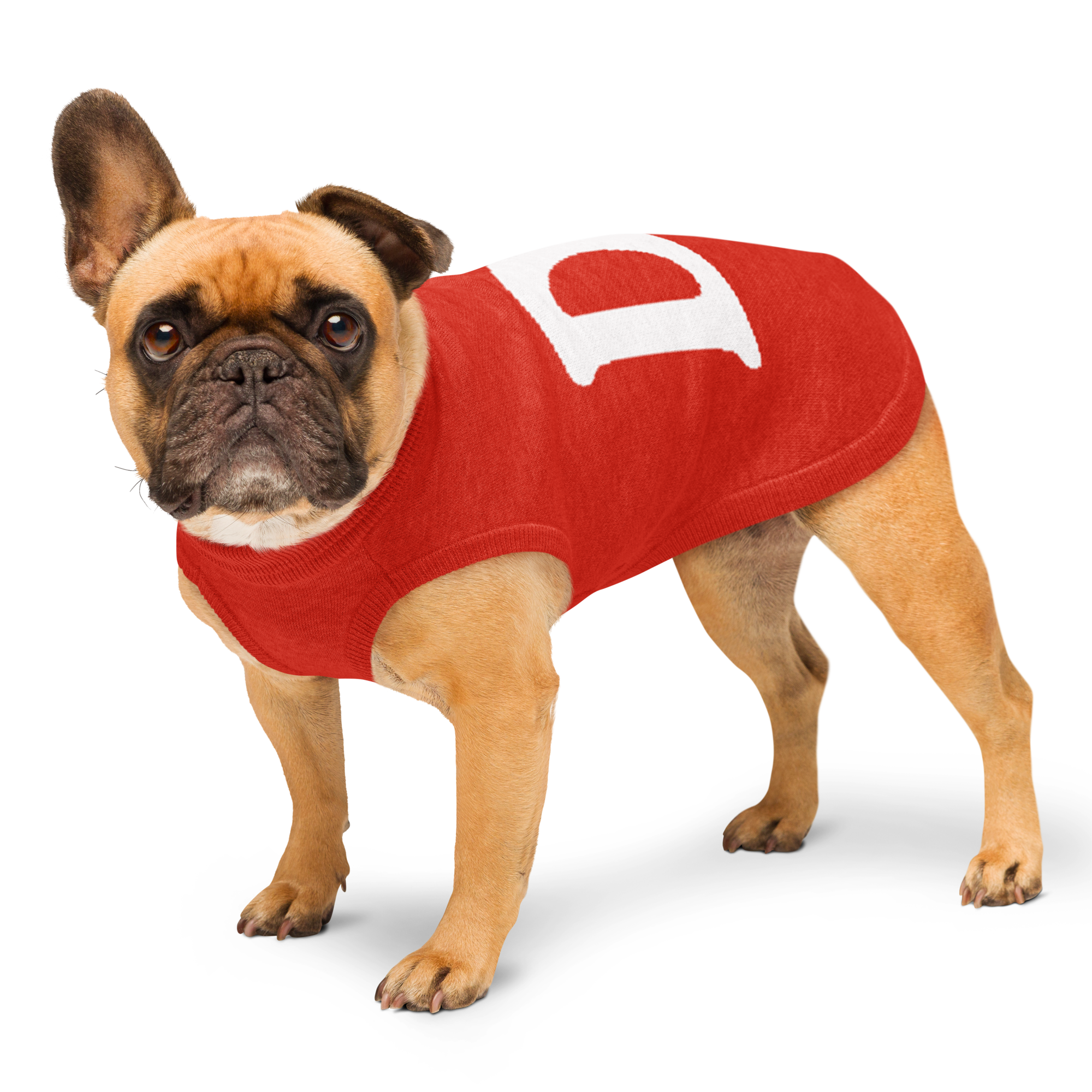 Pet My D! Dog Sweater
