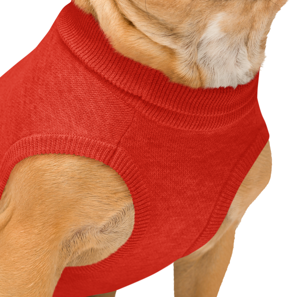 Pet My D! Dog Sweater