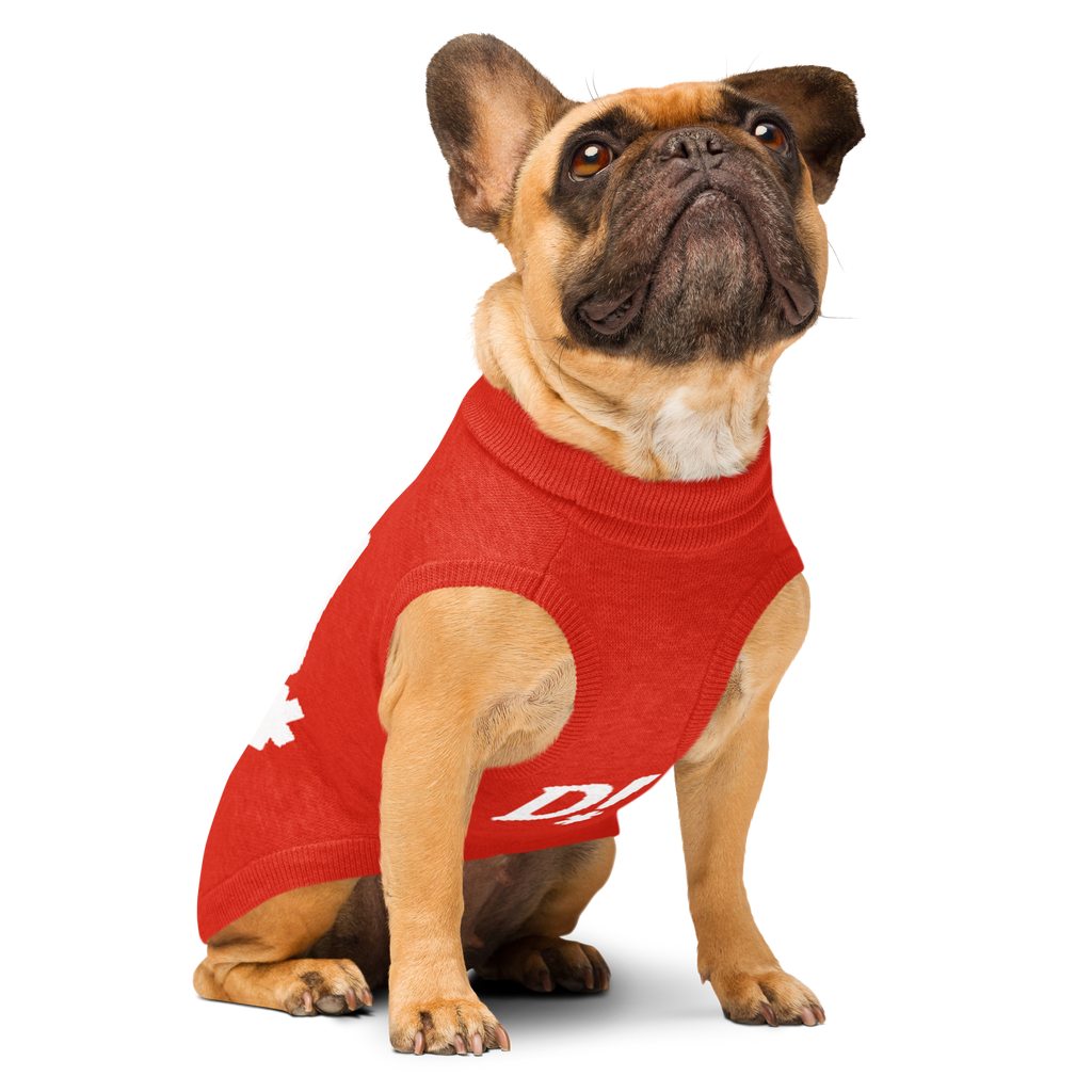 Pet My D! Dog Sweater