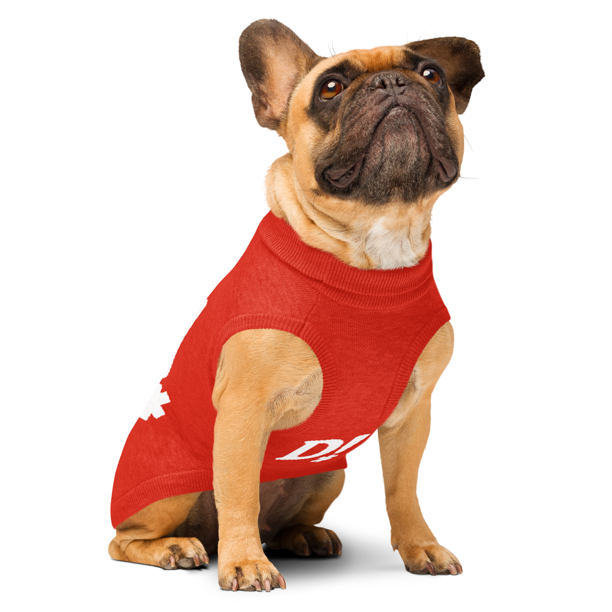 Pet My D! Dog Sweater